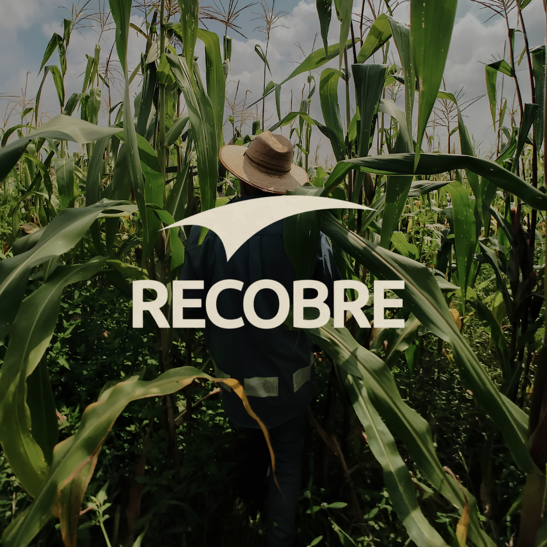 RECOBRE